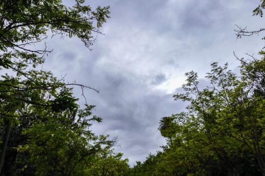 Κακοκαιρία: Βροχές, θυελλώδεις βοριάδες και αρκετό κρύο